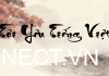 Font thư pháp là gì? Cách sử dụng font thư pháp như thế nào?
