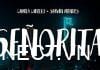 Senorita là gì? Senorita có tầm ảnh hưởng đối với âm nhạc thế nào? senorita-la-gi