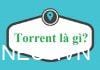 Torrent là gì? Cách thức hoạt động của Torrent như thế nào? torrent-la-gi