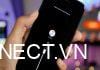 Quên mật khẩu iPhone phải làm gì? Thao tác lấy lại pass iPhone