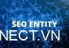 Seo Entity là gì? Tầm quan trọng của dịch vụ Seo Entity dich-vu-seo-entity