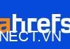 Ahrefs là gì? Cách sử dụng Ahrefs hiệu quả nhất từ A – Z