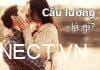 Cẩu lương là gì? Cơm chó có ý nghĩa với giới trẻ như thế nào? cau-luong-la-gi