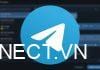 Telegram là gì? Download app Telegram ứng dụng trò chuyện được yêu thích nhất uu-diem-cua-telegram