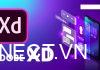 Adobe XD là gì? Cách thiết kế web bằng Adobe XD cho người mới bắt đầu adobe-xd