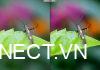 Hướng dẫn cách làm nét ảnh bằng Photoshop đơn giản nhất lam-net-anh-bang-photoshop