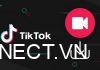 Bật mí cách lưu video trên TikTok khi không có nút lưu đơn giản nhất cach-luu-video-tren-tiktok-khi-khong-co-nut-luu